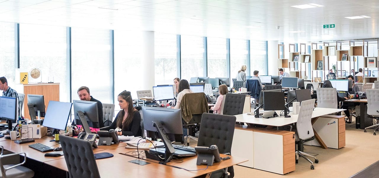 People working on computers at desks in an office